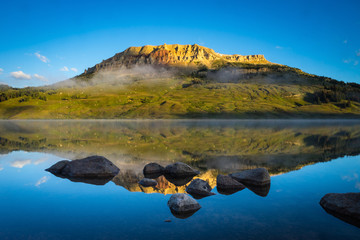 哪些花不能在家里养-
