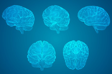 一年级读书卡好词佳句