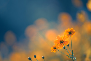 古诗不识庐山真面目的下一句是什么