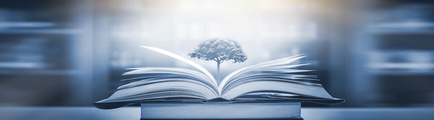 一年级读书卡好词佳句