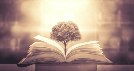 上犹陡水湖景区怎么样