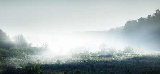 哪些花不能在家里养-