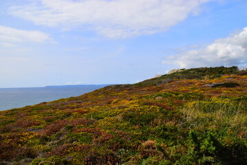 上哪儿找一年级要讲的故事呀儿？