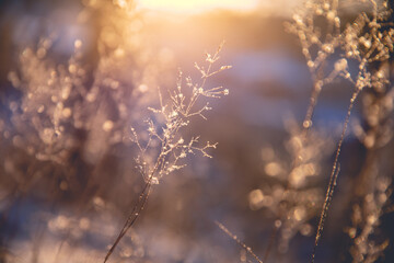 广州花都好吃的地方推荐
