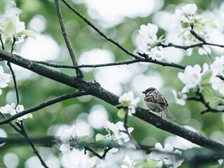 一年级读书卡好词佳句