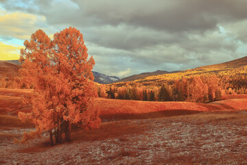 中国历史上在世界上最强大的时候、最屈辱的时候、最繁荣的时候分别是哪个朝代