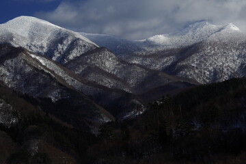 幼儿园科学教学设计活动方案