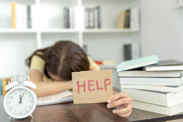 幼儿园科学教学设计活动方案