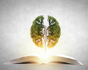 古诗不识庐山真面目的下一句是什么