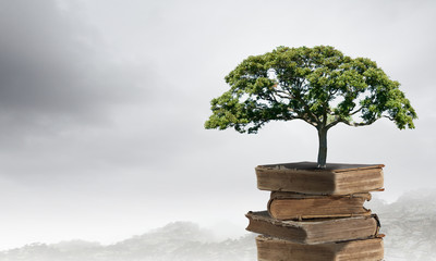 人类幼崽在护食的时候有多可爱呢？