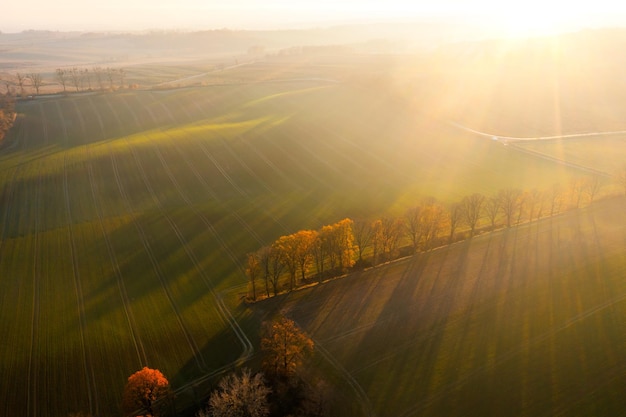 幼儿园科学教学设计活动方案