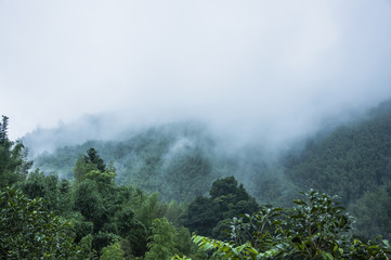 古诗不识庐山真面目的下一句是什么